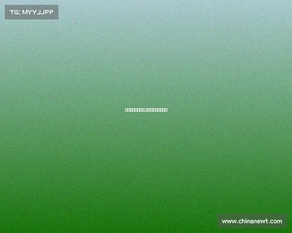 都有哪些格斗赛事,格斗游戏赛事有哪些