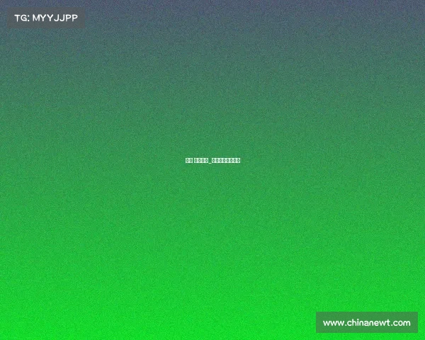 飞人 乔丹赛事_飞人乔丹比赛视频