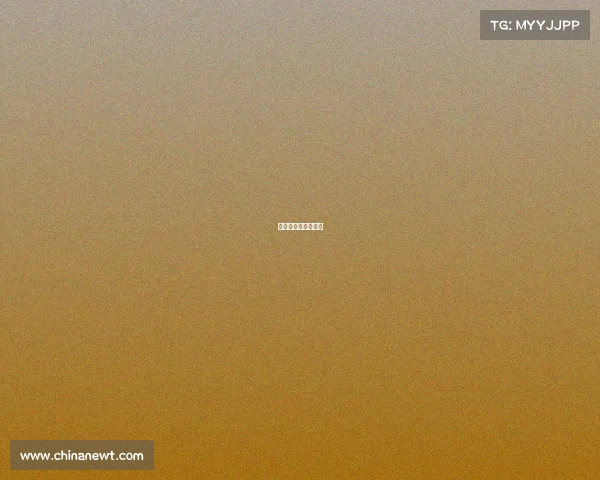 篮球上海赛事时间表